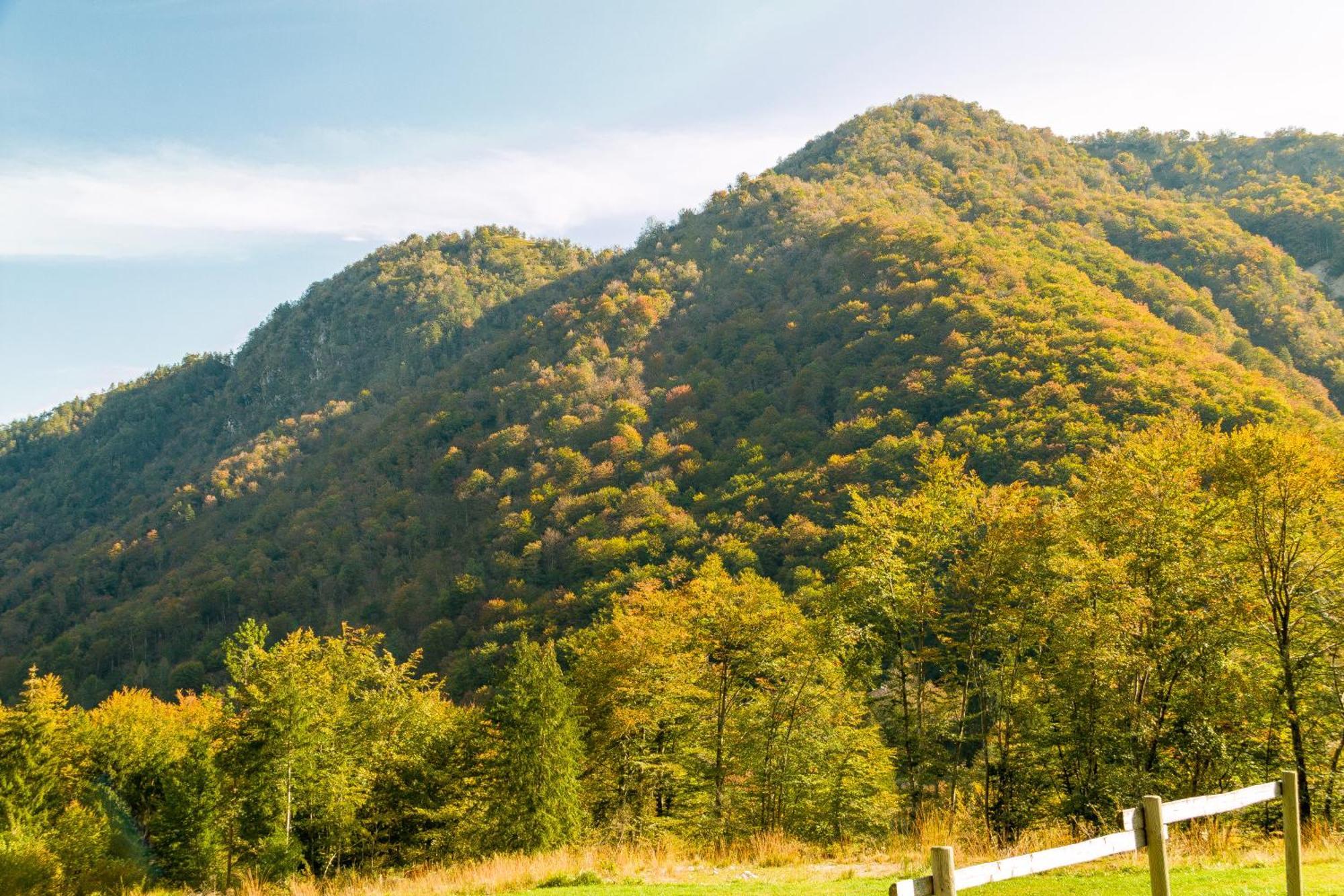 Agriturismo Pian Dei Tass بارسيز المظهر الخارجي الصورة