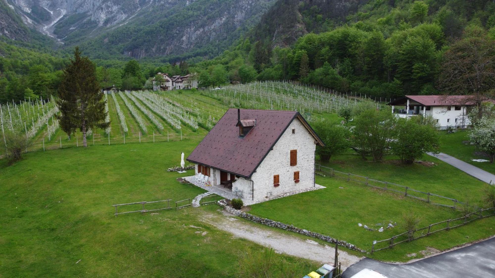 Agriturismo Pian Dei Tass بارسيز المظهر الخارجي الصورة