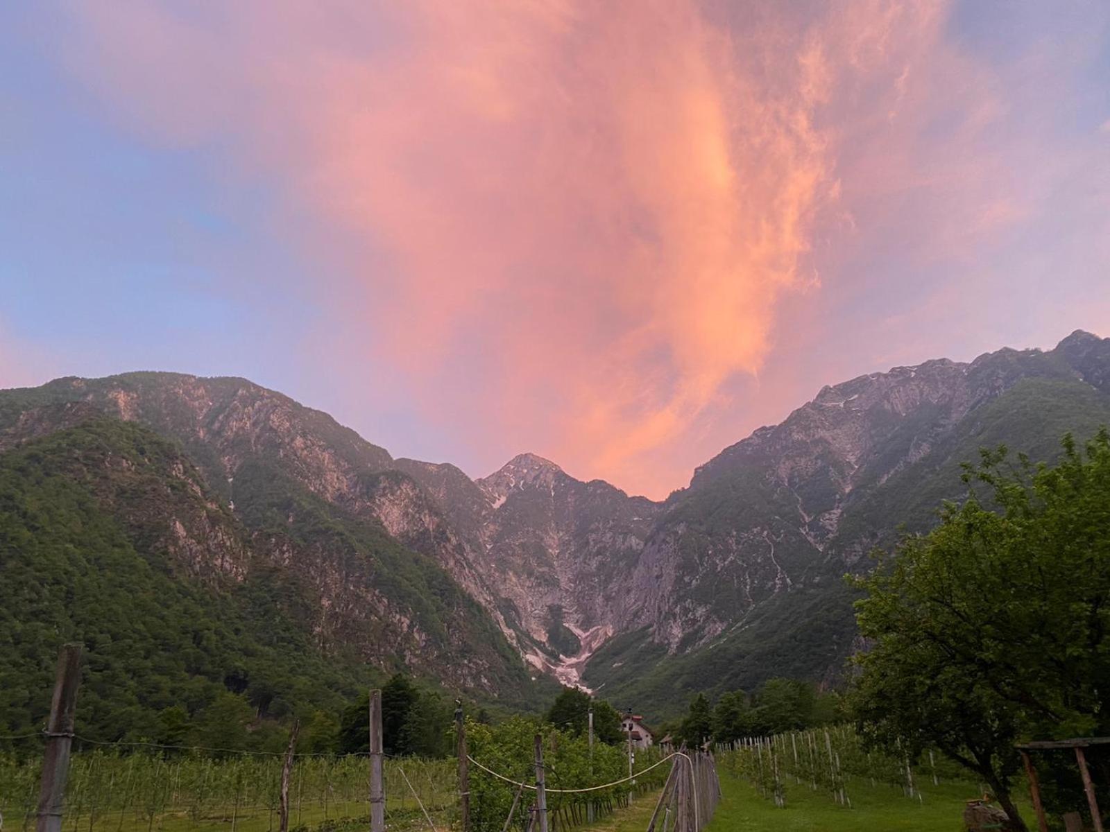 Agriturismo Pian Dei Tass بارسيز المظهر الخارجي الصورة