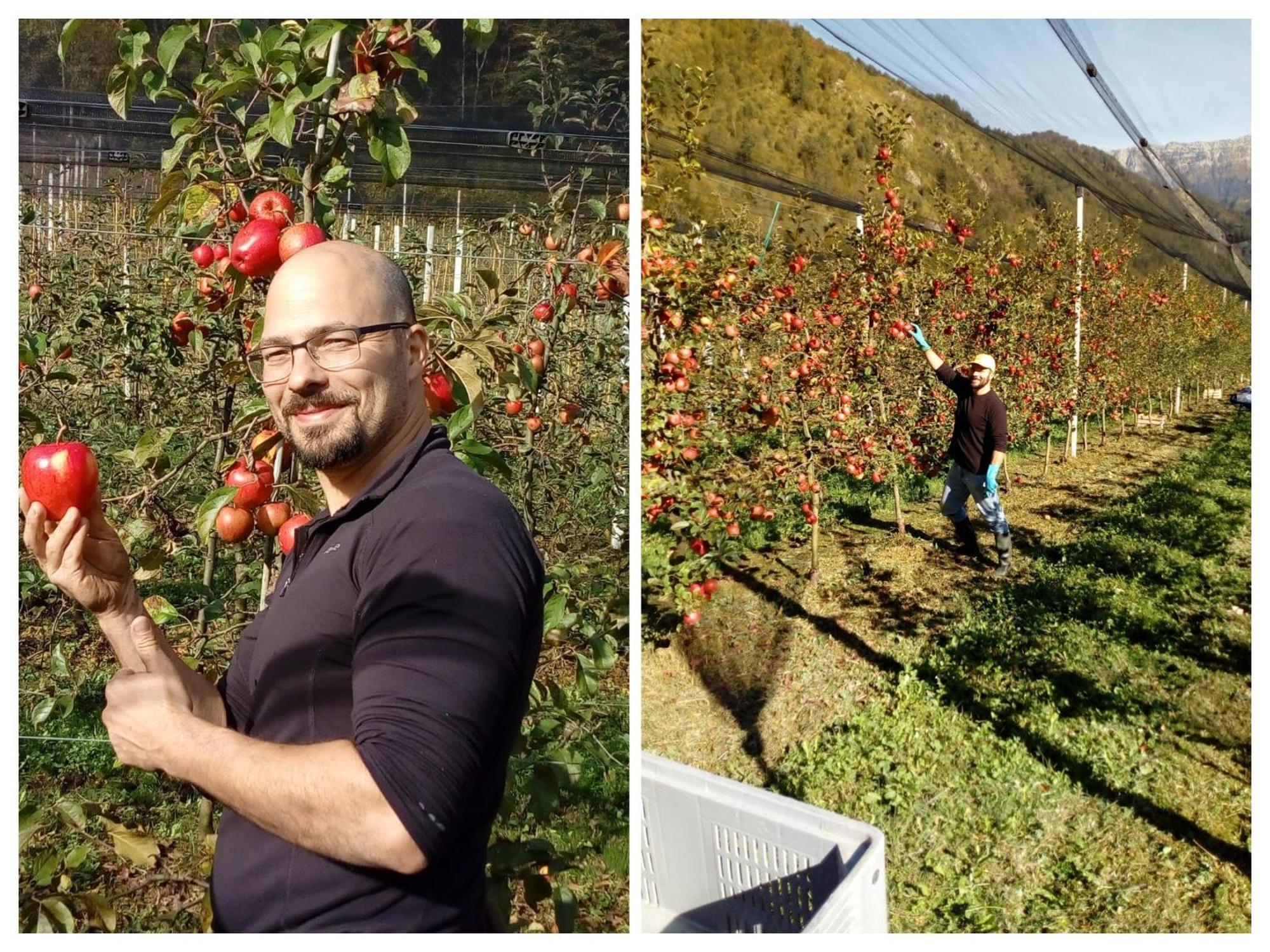 Agriturismo Pian Dei Tass بارسيز المظهر الخارجي الصورة