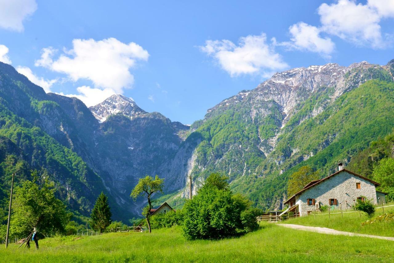 Agriturismo Pian Dei Tass بارسيز المظهر الخارجي الصورة