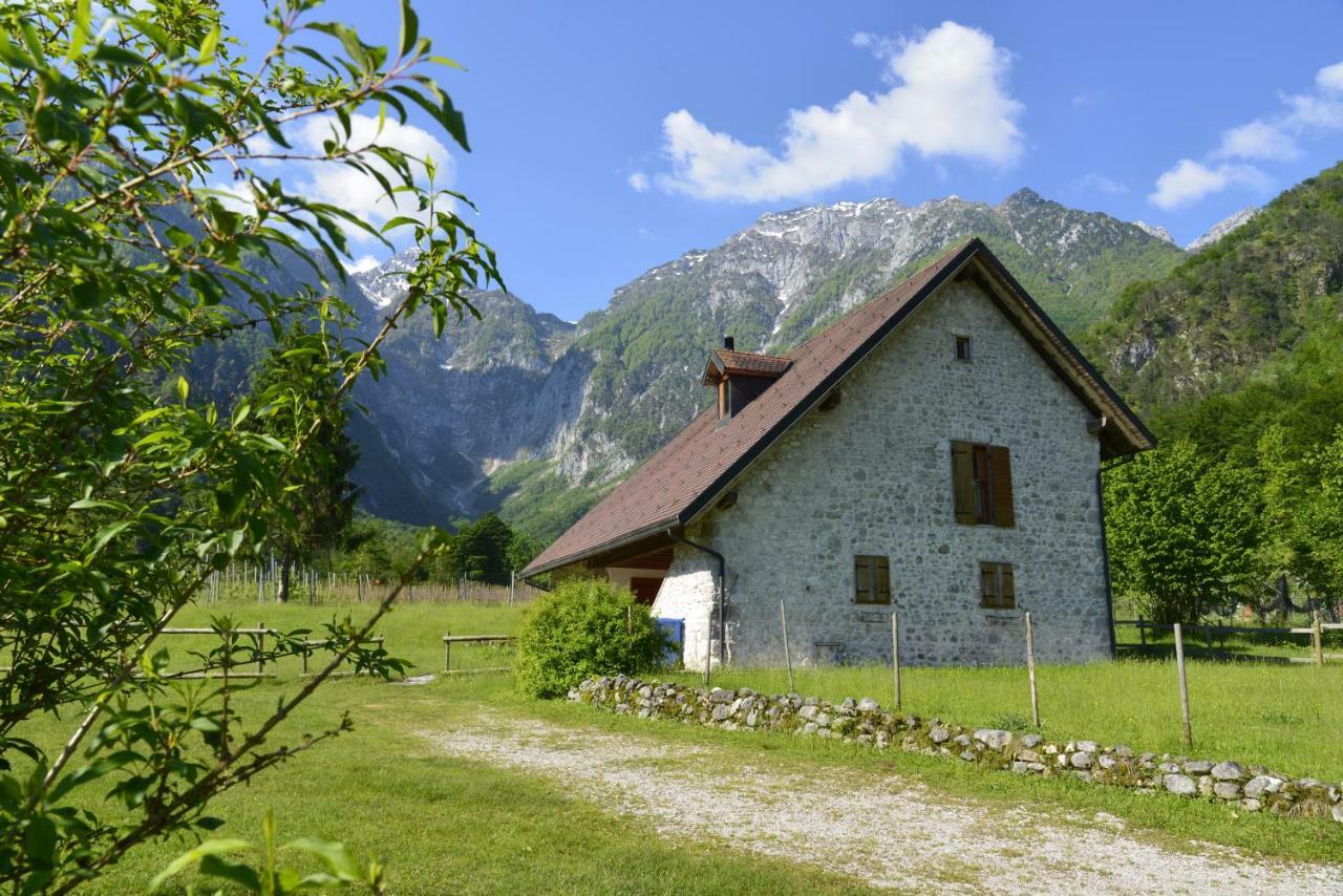 Agriturismo Pian Dei Tass بارسيز المظهر الخارجي الصورة